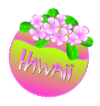 hawaii